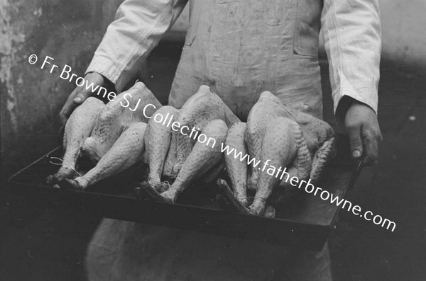 TURKEYS MAN SHOWING SPECIMENS READY FOR THE OVEN